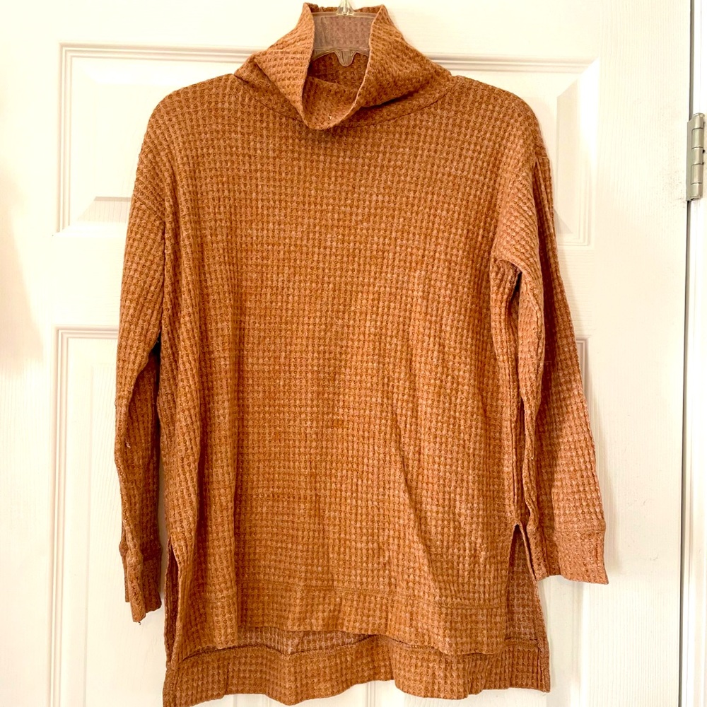 Earthbound Turtleneck